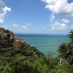 sole-terra-mare.hotelitalianriviera.com/